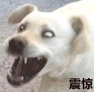 “金风玉露”还是带球逼宫?陈凯歌家的陈红和倪萍恩怨结了吗