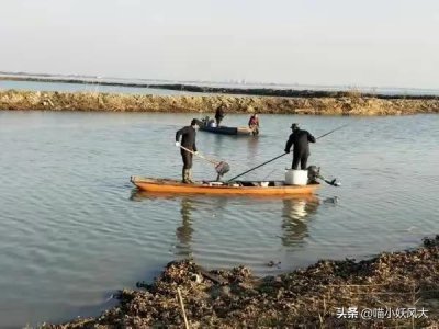 ​女子买2.5万斤鲇鱼放生被起诉，盲目放生到底是祈福还是造孽？