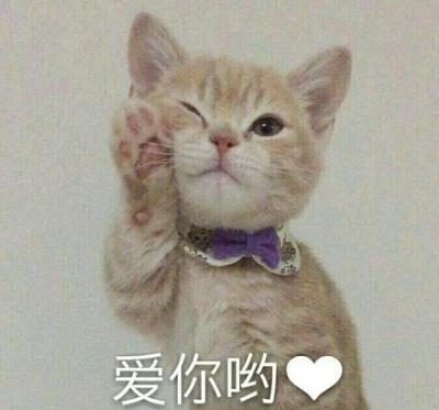 老婆专用表情包