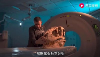 ​曾统治地球200万年的霸王龙，有多可怕？西瓜视频大神带你了解