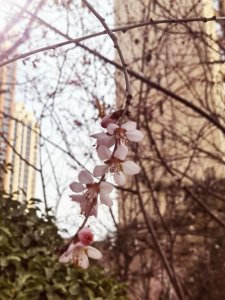 ​不负春光不负己