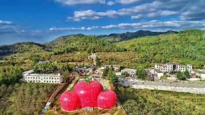 ​灵宝苹果品牌价值突破200亿元