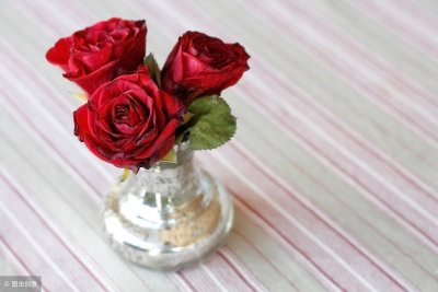 ​重生小说推荐《夫人盼守寡》·木木酱