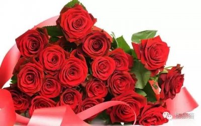 ​21朵玫瑰花语