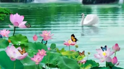 ​古诗词欣赏《浪淘沙 把酒祝东风》