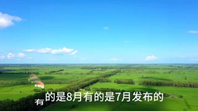 ​今日小麦价格