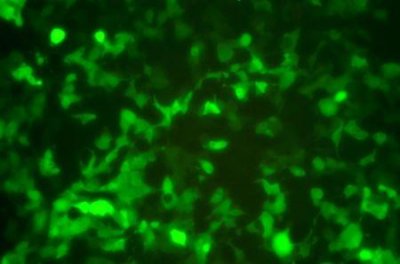 ​南京十大凶宅小区，背后故事令人心碎