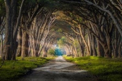 ​北京375路公交车诡异事件真相