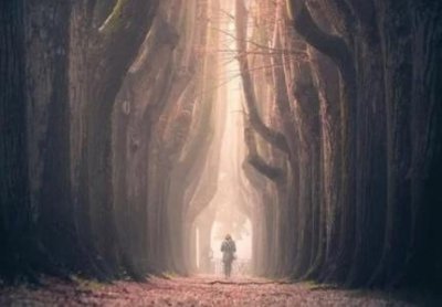 ​许玮伦车祸灵异事件 其助理解释看到鬼！