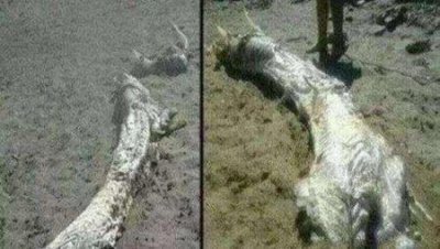 ​人体六大未解之谜至今无解