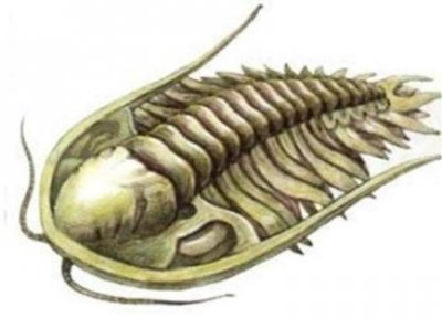 ​帕加尼最贵的是哪一款