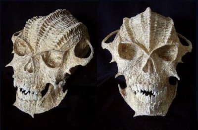 ​世界最高男人和最矮女人