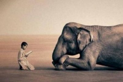 ​汶川地震诡异事件真相 陈坚死前半张脸震惊全国