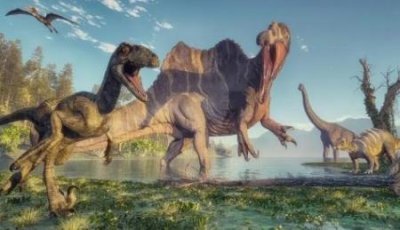 ​银龙：白垩纪的超级巨型恐龙外表可怕性格温和