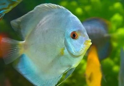 ​鬼迷黑鱼湾的经历