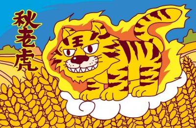 ​秋老虎怎么分公母