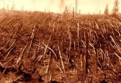 ​地球上十大时速最快的海洋动物 旗鱼肌肉发达时速190公里