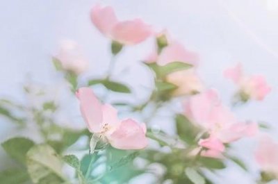 ​世界十大未解之谜怪兽之谜多佛大头怪 还不知道