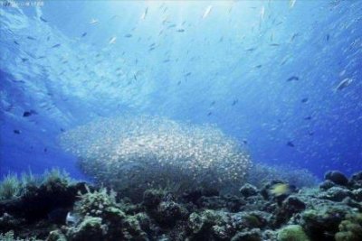 ​怀柔红螺湖鸟岛，怀柔红螺湖鸟岛门票多少钱