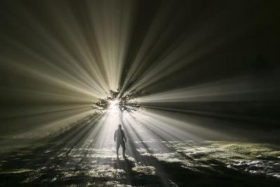 ​世界上最贵的蛇前十名 世界上最昂贵的蛇