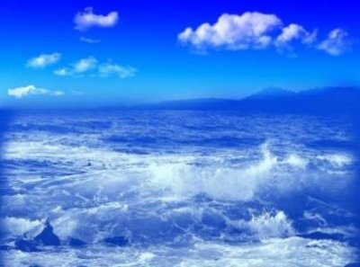 ​上海海昌海洋公园景点介绍之精彩海洋动物秀