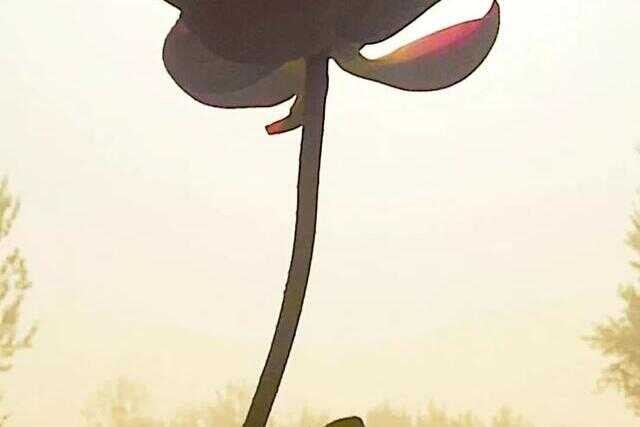 锦州有什么好玩的旅游地方(锦州有什么好玩的地方)