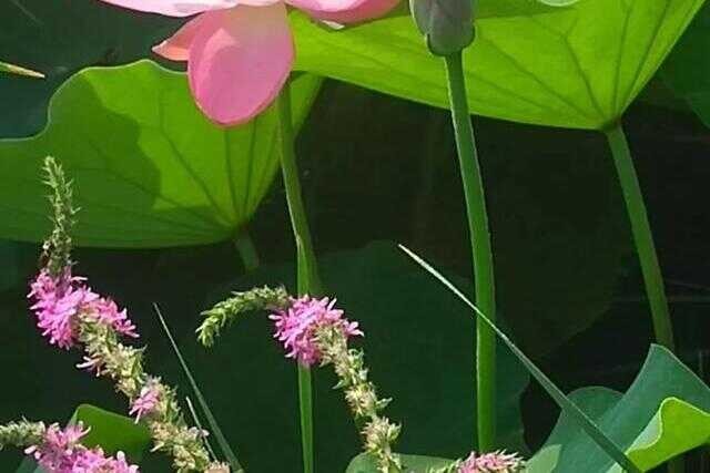 锦州有什么好玩的旅游地方(锦州有什么好玩的地方)