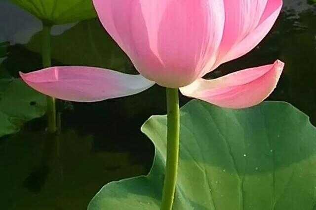 锦州有什么好玩的旅游地方(锦州有什么好玩的地方)