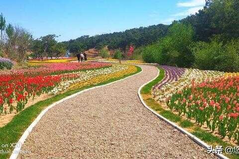 锦州有什么好玩的旅游地方(锦州有什么好玩的地方)