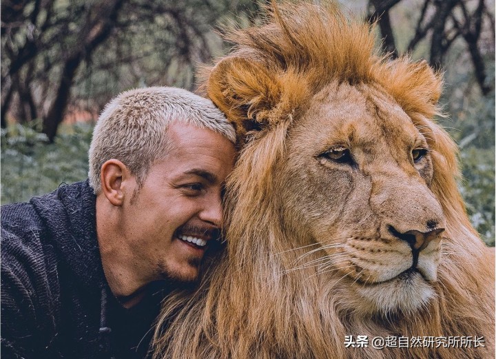 最厉害的动物（知识科普战斗力最厉害的10大动物）