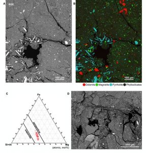 ​从近地小行星Ryugu上找到的样本在化学上与碳质陨石-Ivuna型（CI）相似