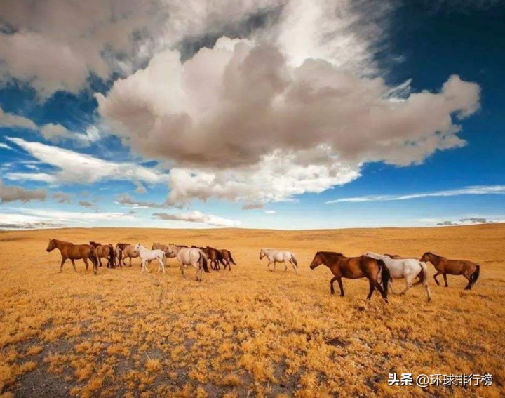 世界上最大的高原（世界面积最大的高原排名Top10）
