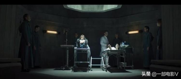 用尸体培养真菌只为了永生惊悚恐怖片圈养