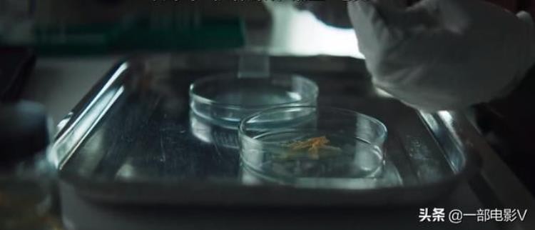 用尸体培养真菌只为了永生惊悚恐怖片圈养