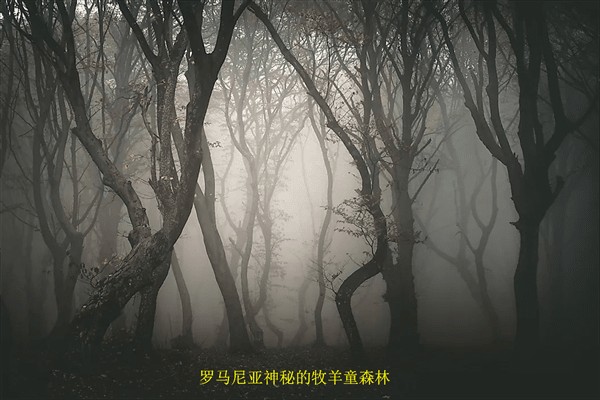 世界上最危险的森林(世界上最危险的十大森林)