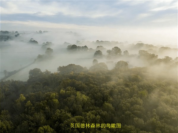 世界上最危险的森林(世界上最危险的十大森林)