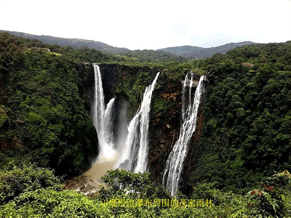 世界上最危险的森林(世界上最危险的十大森林)