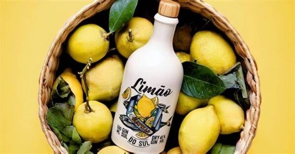 最贵的洋酒排行榜前十名品牌(世界十大最著名金酒品牌)-1