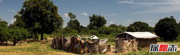 苏丹这个国家安全吗?苏丹2025年十大最新消息