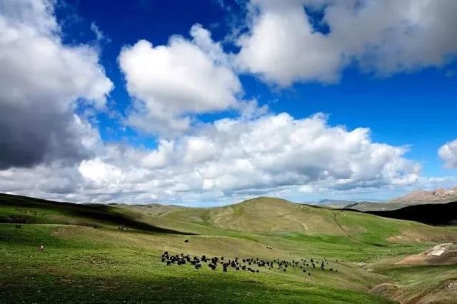 西藏最美地方是哪里?这里四季都有着绝美风景!