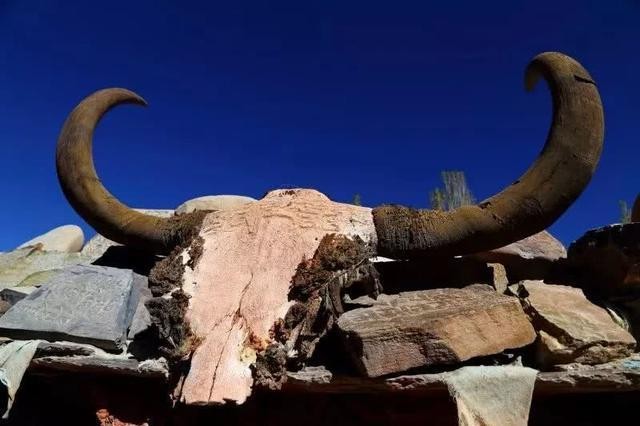 西藏最美地方是哪里?这里四季都有着绝美风景!