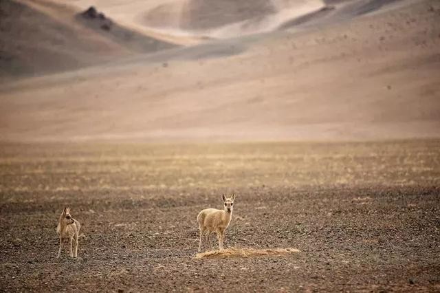 西藏最美地方是哪里?这里四季都有着绝美风景!