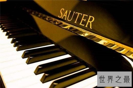 世界十大钢琴品牌，钢琴哪些牌子好？
