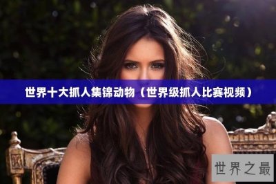 ​世界十大抓人集锦动物（世界级抓人比赛视频）