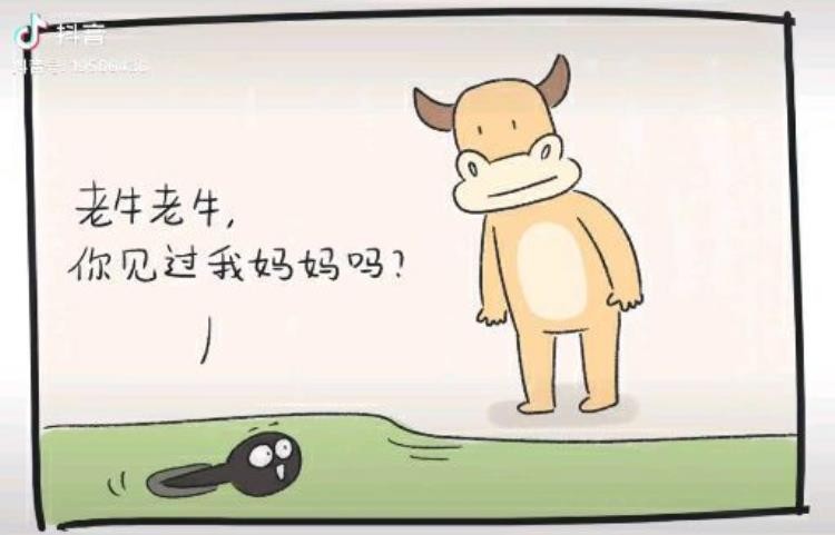 鸟和野兽的战争,比猛兽都厉害的鸟类