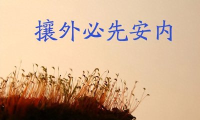 ​为什么说攘外必先安内？
