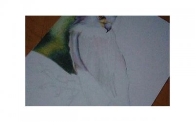 ​挽回男友攻略：被删除后怎么挽回对方