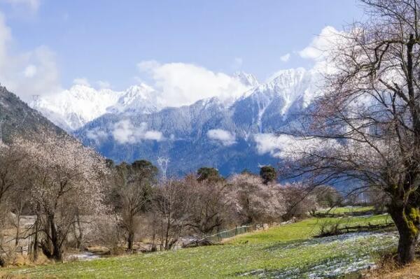 十大中国最大的城市是哪个？中国面积最大的十个城市（重庆竟靠后）  6