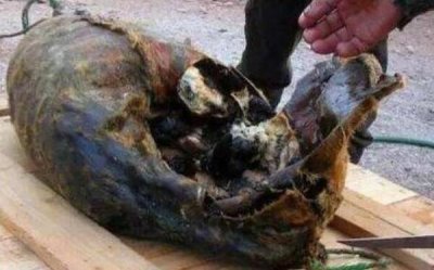 ​基维亚克是什么 基维亚克什么味道（腐烂的臭味）