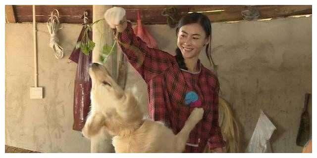 女明星干农活, 赵丽颖是好手, 秋瓷炫最接地气, 杨紫你们自己看吧